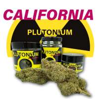 Fleurs CBD California Plutonium Indoor 7Leaves 2g-5g-10g