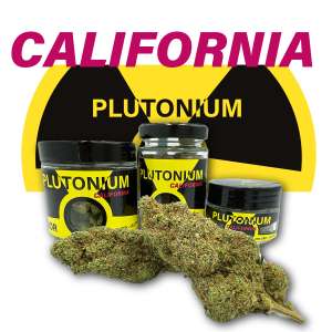 7leaves, vente en ligne de Fleurs CBD California Plutonium Indoor 7Leaves 2g-5g-10g