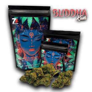 7leaves, vente en ligne de Fleurs CBD Buddha Kush Indoor 7Leaves 2g-5g-10g