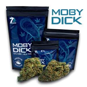 7leaves, vente en ligne de Fleurs CBD Moby Dick Indoor 7Leaves 2g-5g-10g