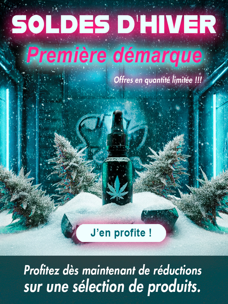 SOLDES D HIVER