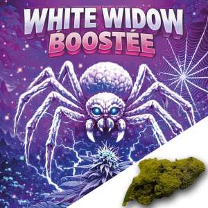 7leaves, vente en ligne de Fleurs CBD White Widow Boostée Indoor 7Leaves 2g-5g-10g