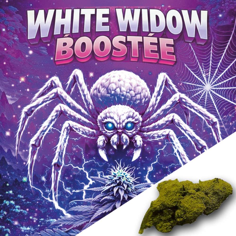 Fleurs CBD White Widow Boostée Indoor 7Leaves 2g-5g-10g