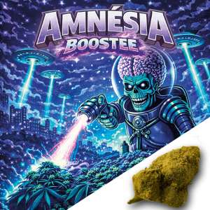 7leaves, vente en ligne de Fleurs CBD Amnésia Boostée Indoor 7Leaves 2g-5g-10g