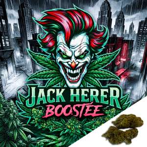 7leaves, vente en ligne de Fleurs CBD Jack Herer Boostée Indoor 7Leaves 2g-5g-10g