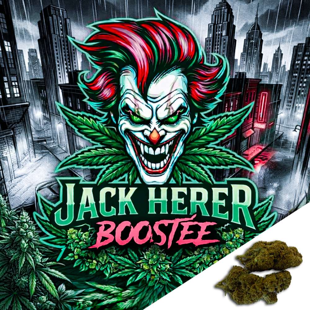 Fleurs CBD Jack Herer Boostée Indoor 7Leaves 2g-5g-10g